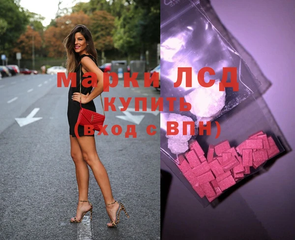 прущие грибы Новокубанск