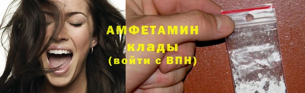 прущие грибы Новокубанск