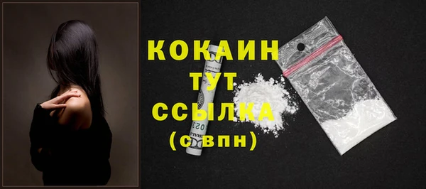 мет Новозыбков