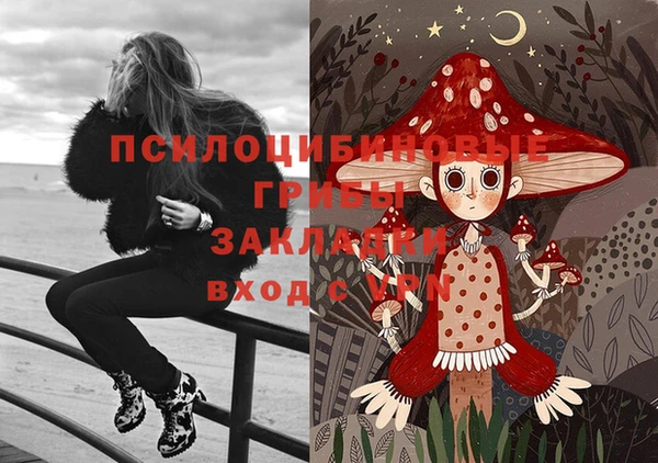 mdma Новодвинск