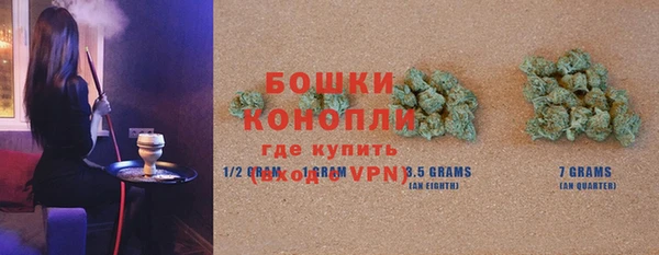 мет Новозыбков