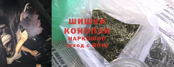 мет Новозыбков
